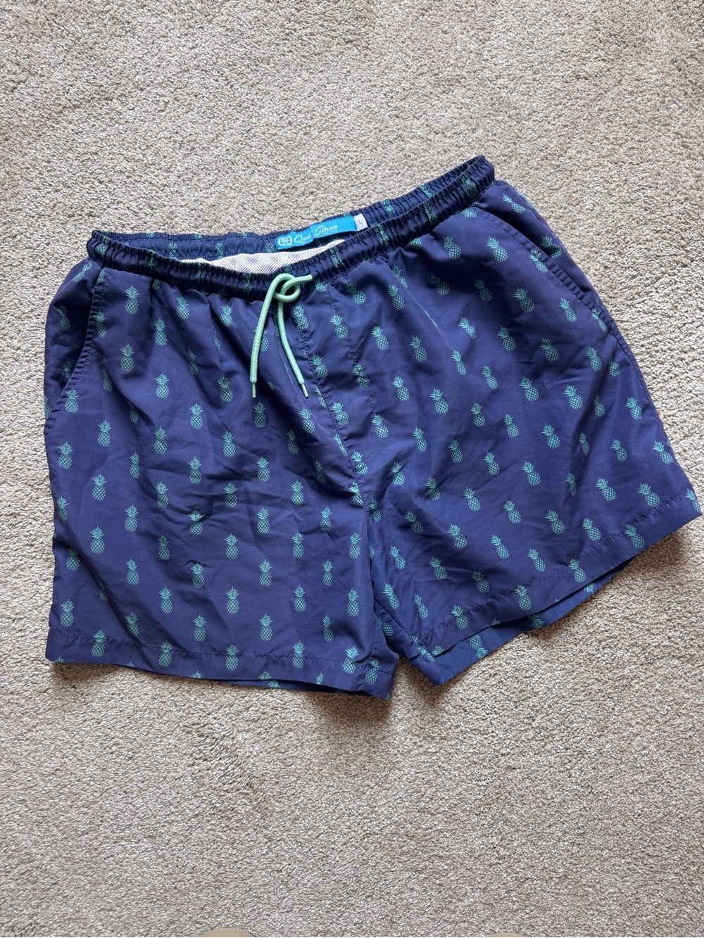 Quiet Storm Pineapple swim trunks L